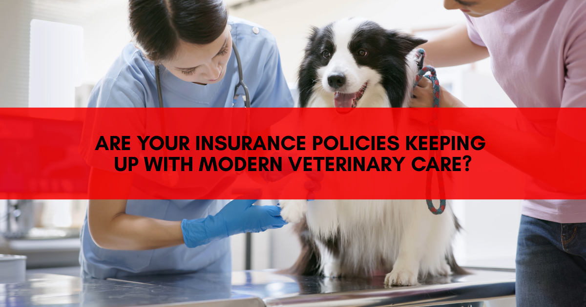 Practice Insurance For Vets At Lloyd & Whyte - Truths thumbnail